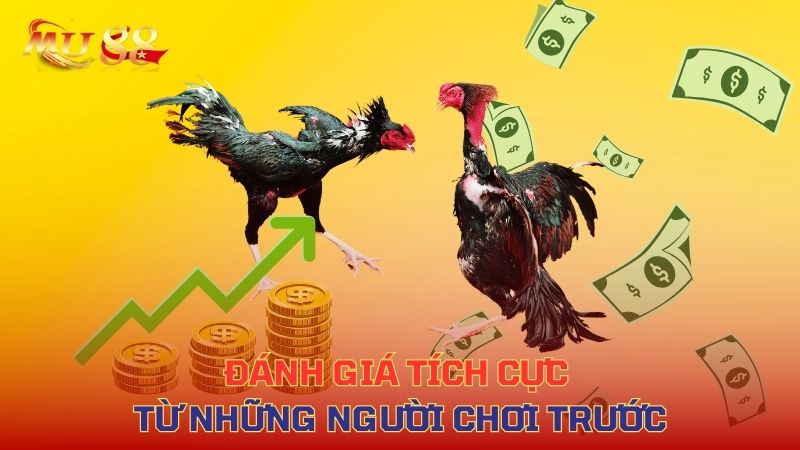 Đánh giá tích cực từ những người chơi trước