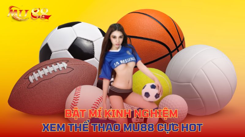 Bật mí kinh nghiệm xem thể thao cực hot