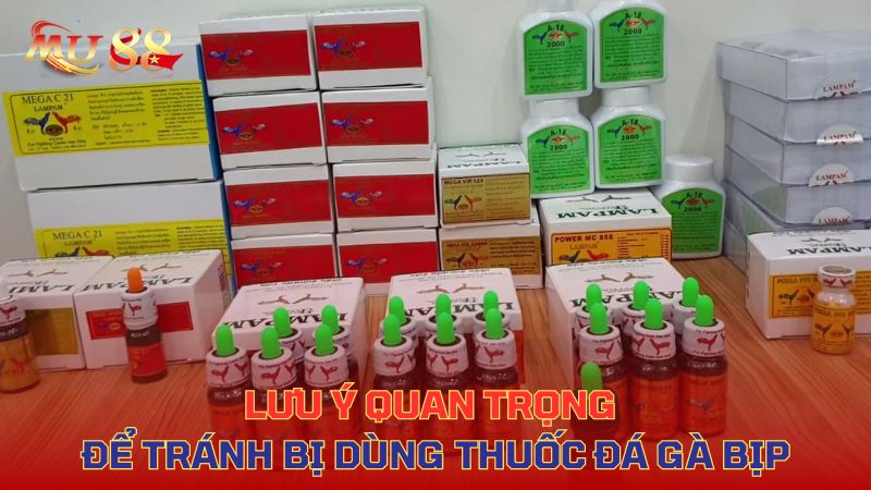 Lưu ý quan trọng để tránh bị dùng thuốc đá gà bịp